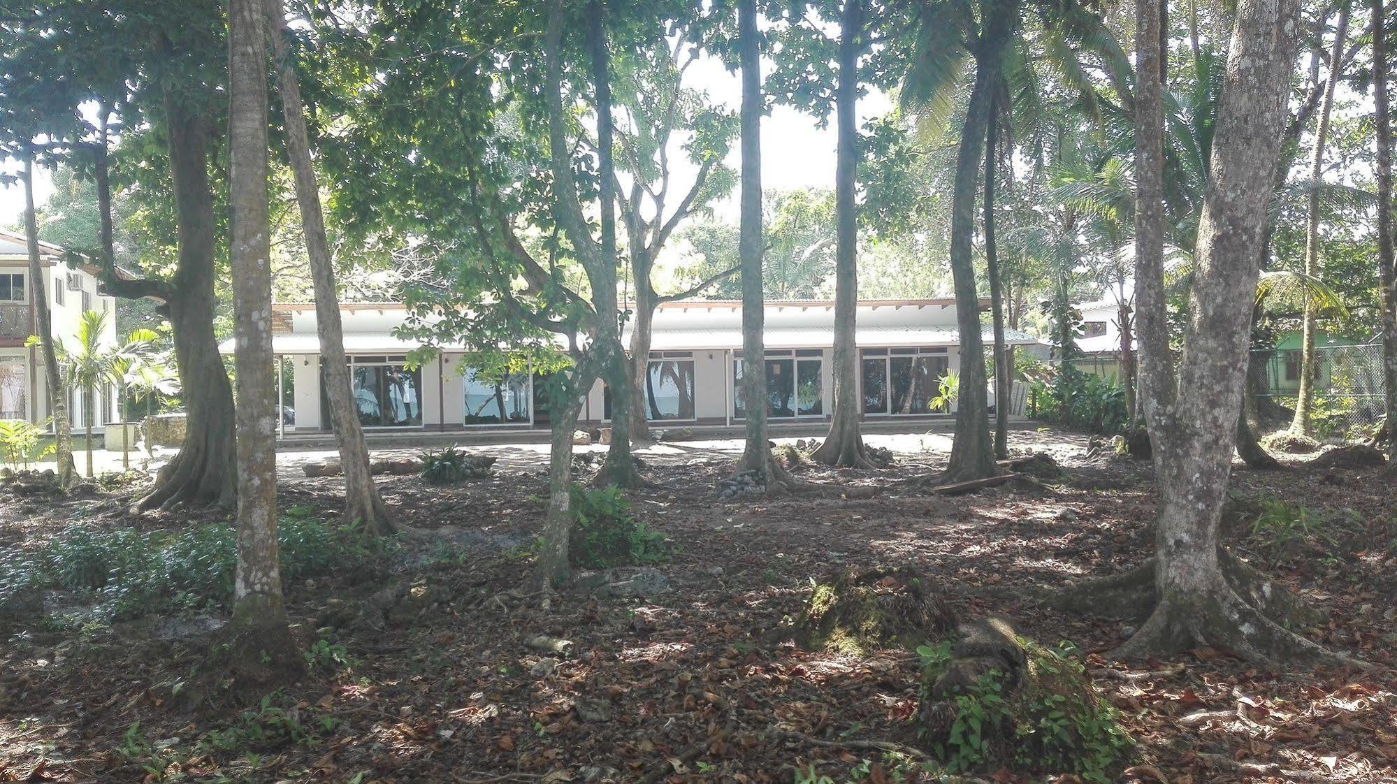 Cahuita Inn 外观 照片